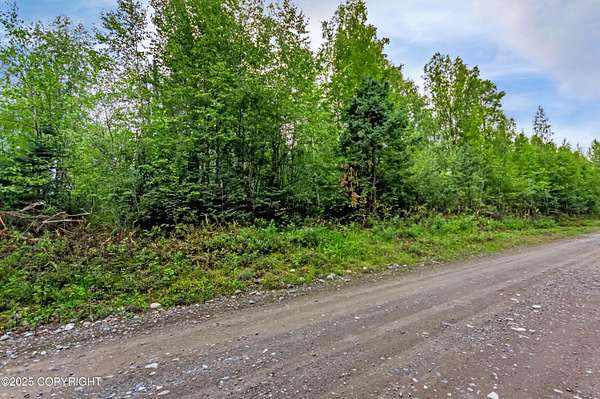 1 Acre of Land for Sale in Willow, Alaska