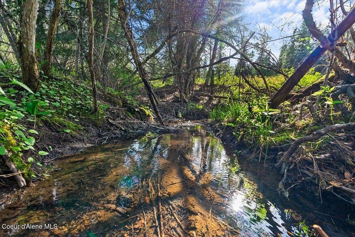 8.53 Acres of Residential Land for Sale in St. Maries, Idaho