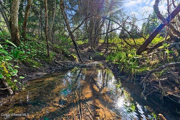 8.53 Acres of Residential Land for Sale in St. Maries, Idaho