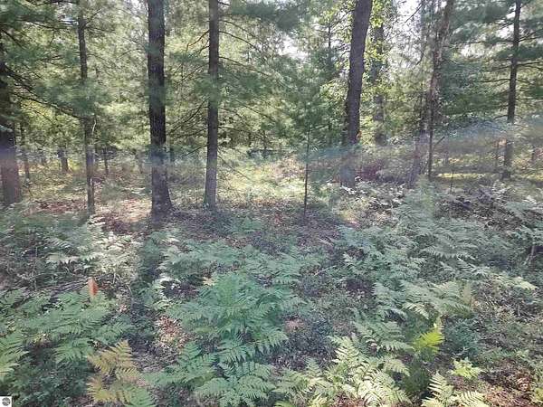 0.28 Acres of Land for Sale in Alger, Michigan
