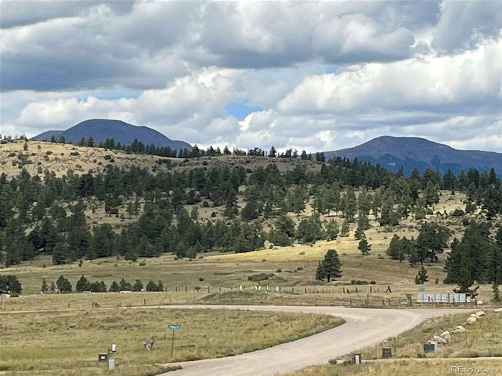 4.66 Acres of Residential Land for Sale in Buena Vista, Colorado