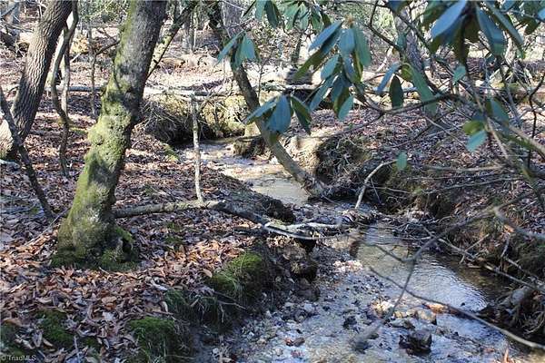 11.1 Acres of Land for Sale in Thurmond, North Carolina