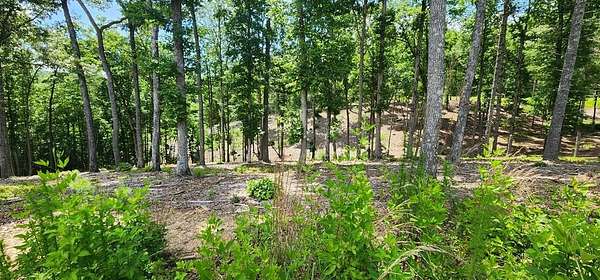 0.97 Acres of Land for Sale in Morganton, Georgia