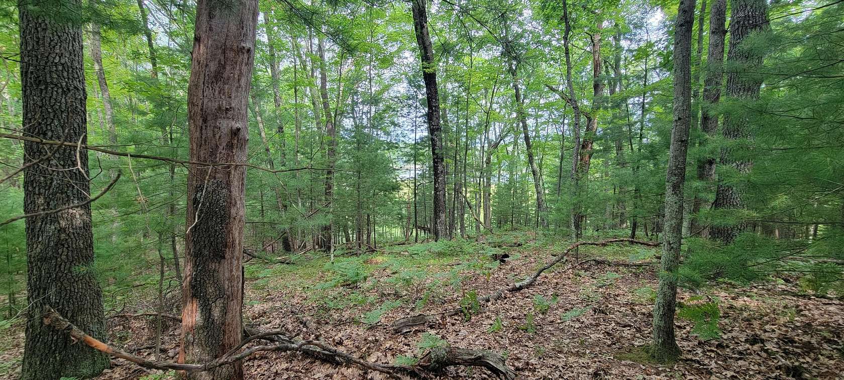 1.89 Acres of Land for Sale in Baldwin, Michigan