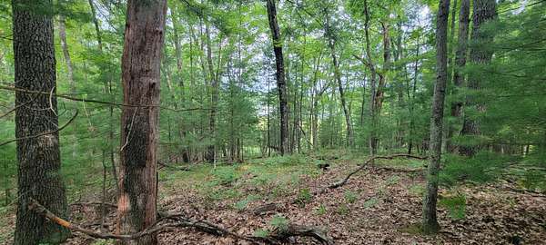 1.89 Acres of Land for Sale in Baldwin, Michigan
