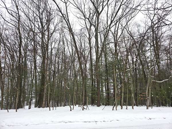 1.89 Acres of Land for Sale in Baldwin, Michigan