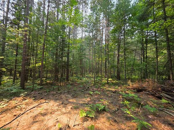 2.34 Acres of Residential Land for Sale in Tomahawk, Wisconsin