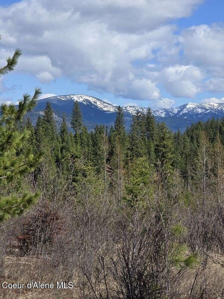 19 Acres of Land for Sale in St. Maries, Idaho