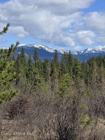 19 Acres of Land for Sale in St. Maries, Idaho