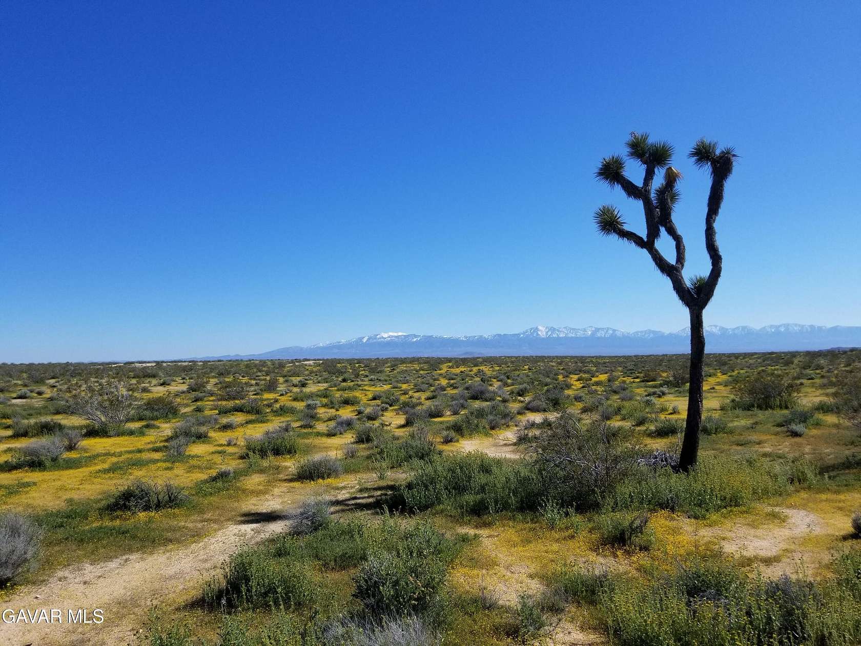 40.4 Acres of Land for Sale in Lancaster, California