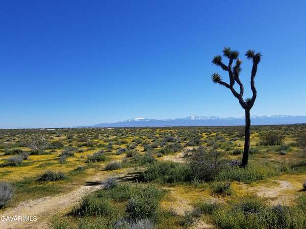 40.4 Acres of Land for Sale in Lancaster, California