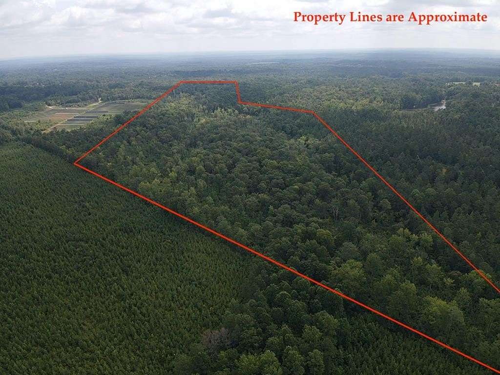 63.5 Acres of Recreational Land for Sale in Greenwood, South Carolina