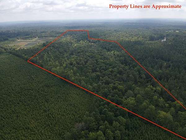 63.5 Acres of Recreational Land for Sale in Greenwood, South Carolina