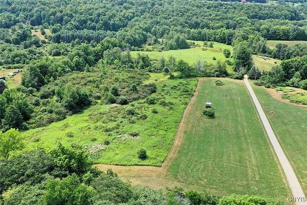 20 Acres of Land for Sale in Dansville Town, New York