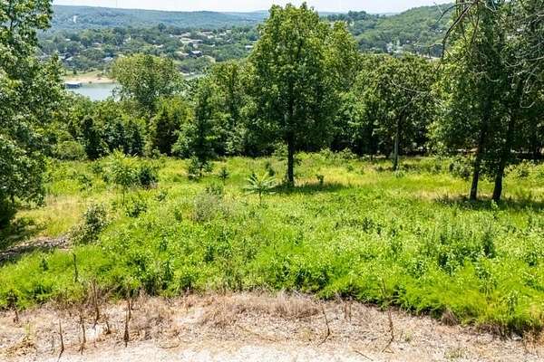 1.6 Acres of Residential Land for Sale in Blue Eye, Missouri