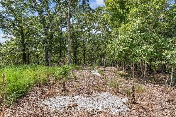 1.73 Acres of Residential Land for Sale in Blue Eye, Missouri