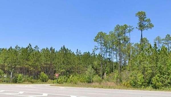 102 Acres of Land for Sale in Waycross, Georgia