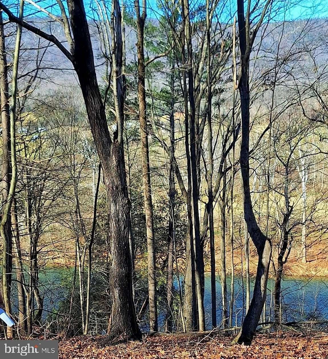 1 Acre of Residential Land for Sale in Luray, Virginia