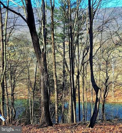 1 Acre of Residential Land for Sale in Luray, Virginia