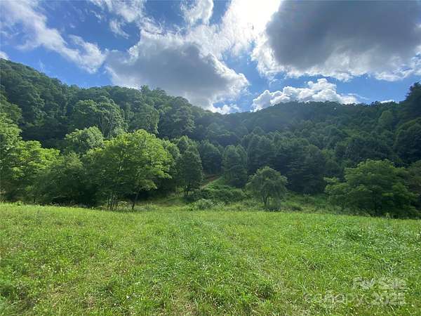56.2 Acres of Land for Sale in Marshall, North Carolina