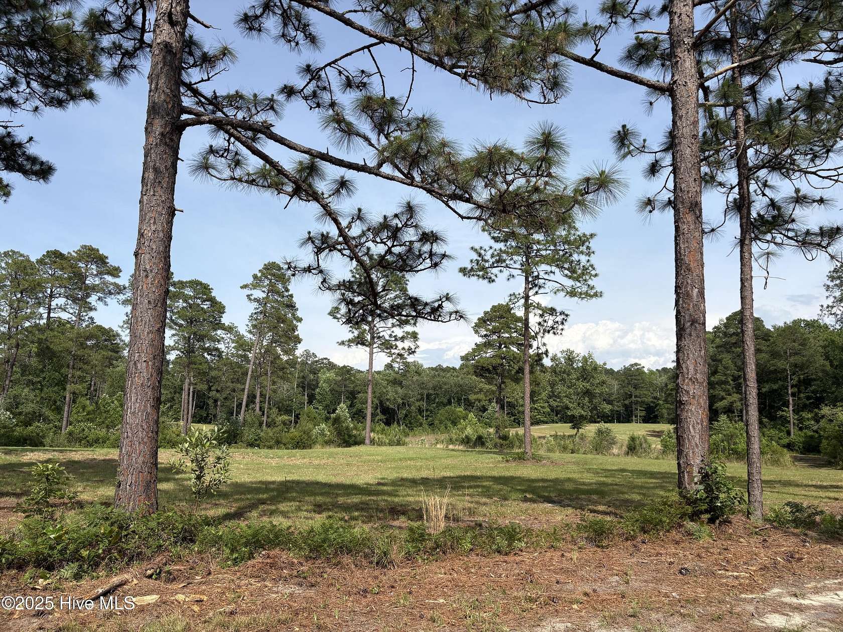 11.8 Acres of Agricultural Land for Sale in Vass, North Carolina