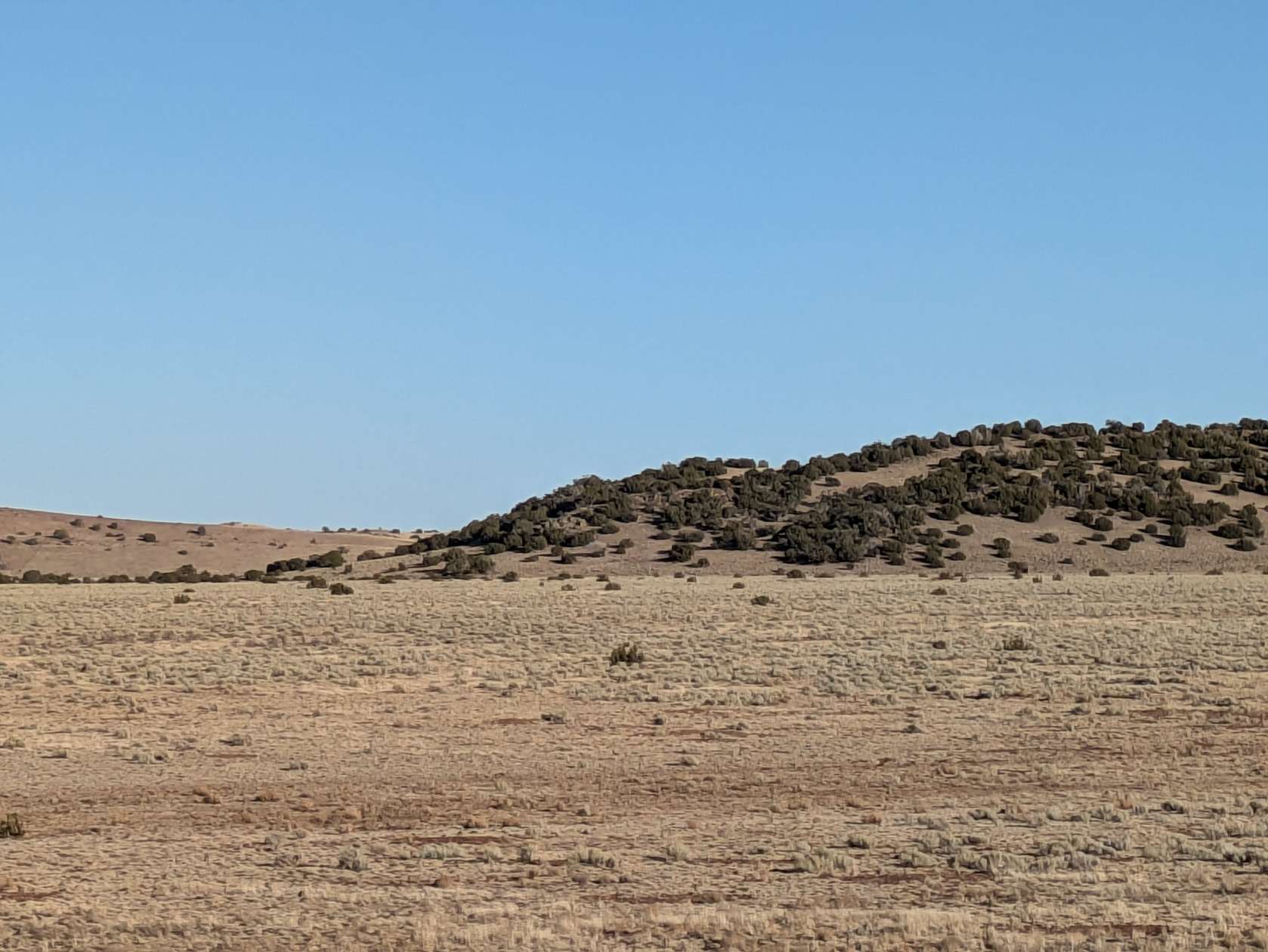 1 Acre of Residential Land for Sale in Apache, Arizona