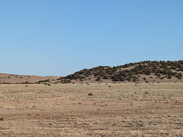 1 Acre of Residential Land for Sale in Apache, Arizona