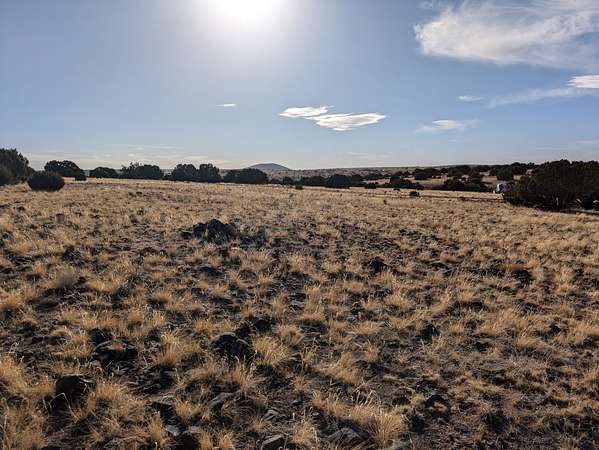 1 Acre of Residential Land for Sale in Apache, Arizona