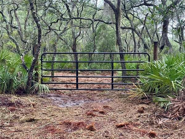 10 Acres of Land for Sale in Townsend, Georgia