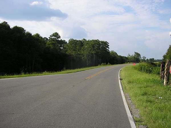 724 Acres of Recreational Land for Sale in Waycross, Georgia