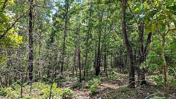 28 Acres of Recreational Land for Sale in Westville, Oklahoma