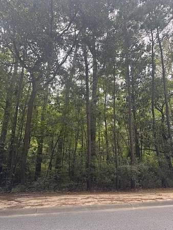 13.4 Acres of Recreational Land for Sale in Lincolnville, South Carolina