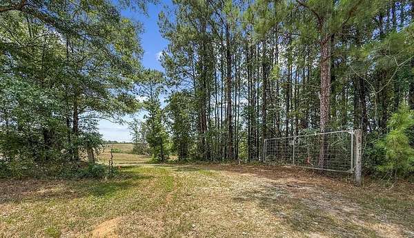 57 Acres of Recreational Land with Home for Sale in Clayton, Alabama