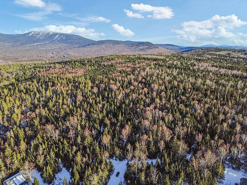 50.3 Acres of Recreational Land for Sale in Dallas Plantation, Maine