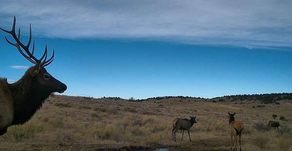 320 Acres of Recreational Land & Farm for Sale in Westcliffe, Colorado