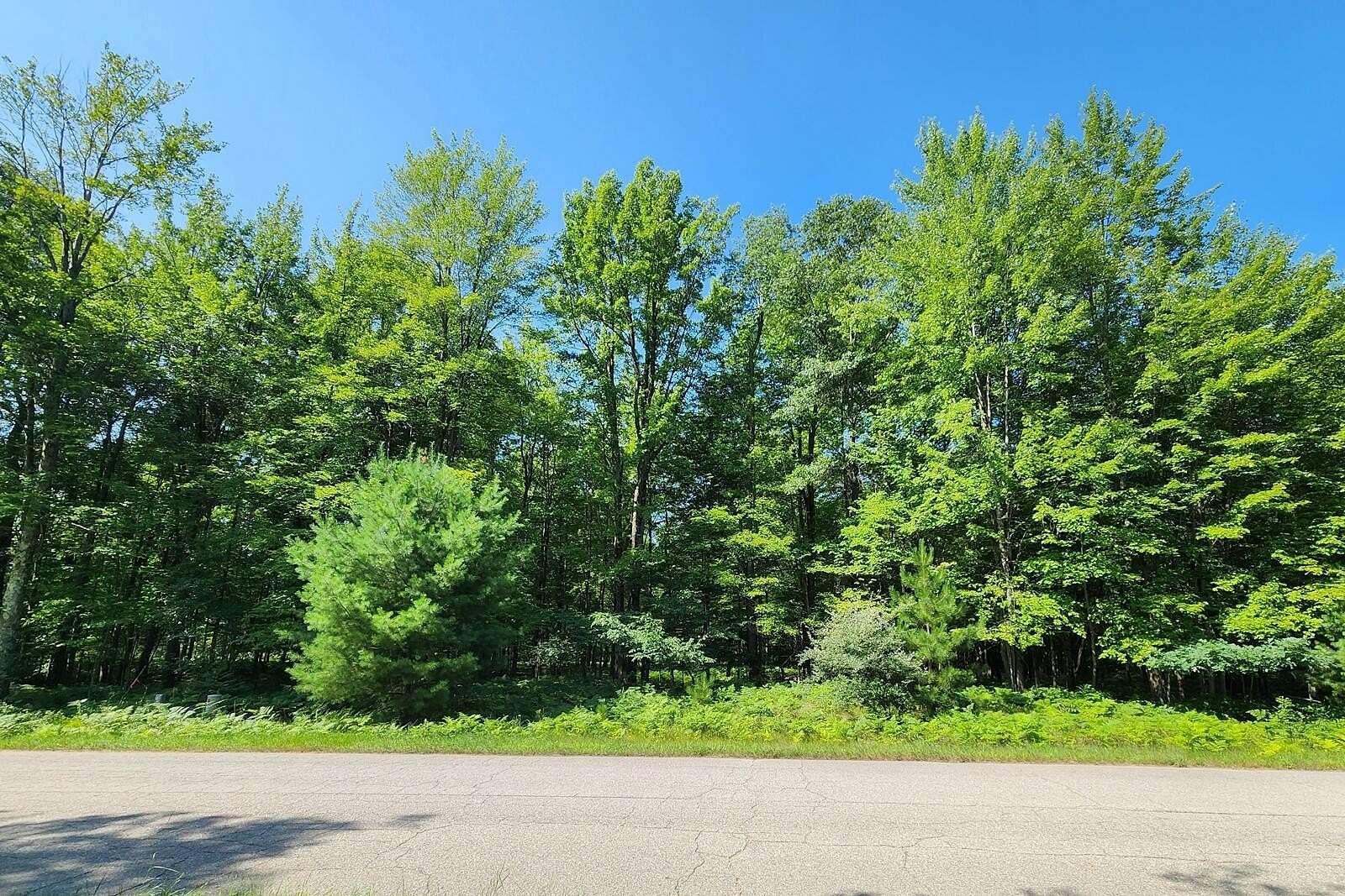 3.34 Acres of Residential Land for Sale in Canadian Lakes, Michigan