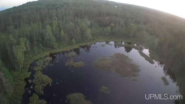 13.8 Acres of Recreational Land for Sale in Gwinn, Michigan
