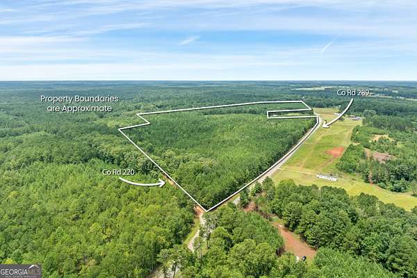 70 Acres of Recreational Land for Sale in Lanett, Alabama