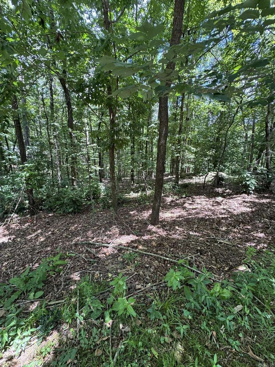 0.29 Acres of Residential Land for Sale in Hot Springs Village, Arkansas