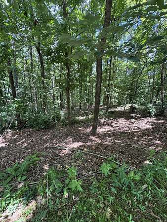 0.29 Acres of Residential Land for Sale in Hot Springs Village, Arkansas