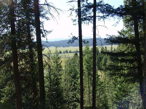3.55 Acres of Residential Land for Sale in Cascade, Idaho