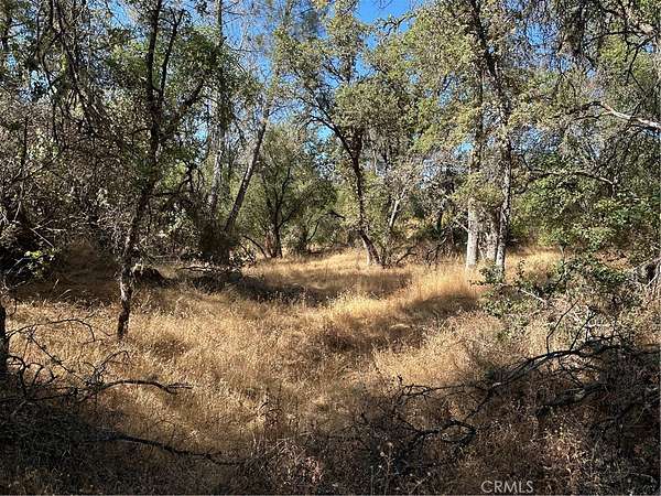 9.37 Acres of Residential Land for Sale in Mariposa, California