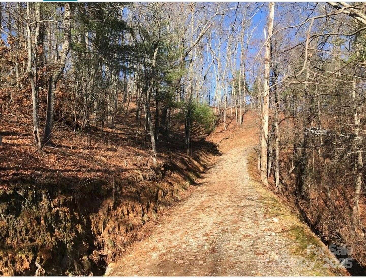 1.16 Acres of Residential Land for Sale in Topton, North Carolina