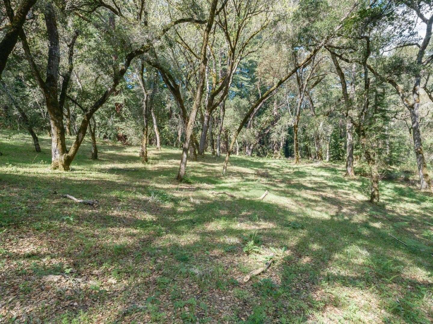 34.4 Acres of Agricultural & Residential Land for Sale in Carmel Valley, California