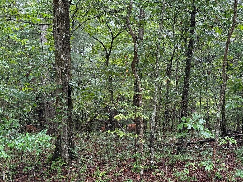 0.3 Acres of Residential Land for Sale in Crossville, Tennessee