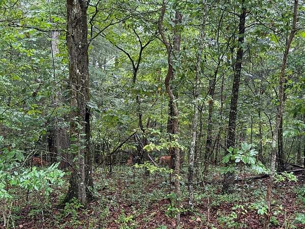 0.3 Acres of Residential Land for Sale in Crossville, Tennessee