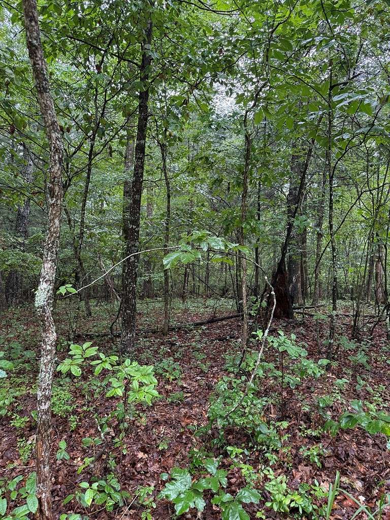 0.28 Acres of Residential Land for Sale in Crossville, Tennessee