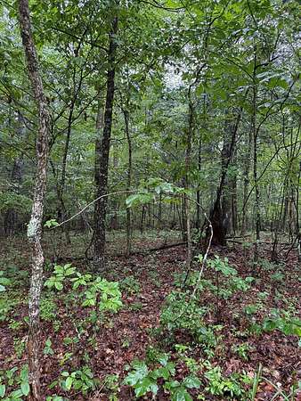 0.28 Acres of Residential Land for Sale in Crossville, Tennessee