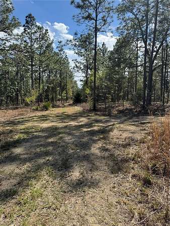 0.46 Acres of Residential Land for Sale in Ocala, Florida