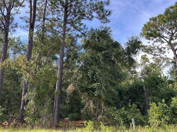 0.23 Acres of Residential Land for Sale in Williston, Florida